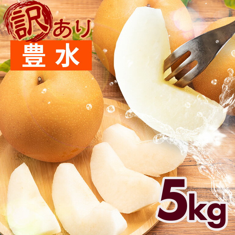 【ふるさと納税】【先行予約】【数量限定】豊水 訳あり 梨 梨 5kg 10～16個 柴沼梨園 不揃い 訳あり品 ナシ なし 豊水梨 秋 旬 フルーツ 果物 【 9月上旬～9月下旬発送 】 秋の味覚 くだもの 訳アリ品 茨城県 家庭用 産地直送 送料無料