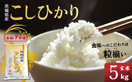 玄米 5kg コシヒカリ 令和7年産 玄米