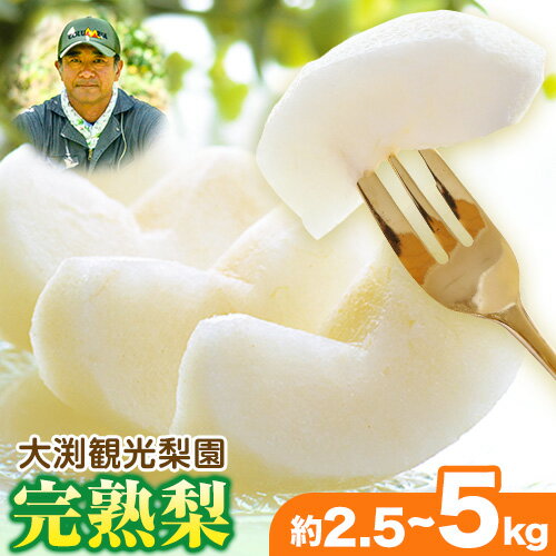 【ふるさと納税】大渕観光梨園 完熟梨 (あきづき 新高 新興 のいずれか) 秀品 約3kg (5〜8玉) または 約5kg（8～18玉） 熊本県長洲町産 《9月上旬-12月中旬頃出荷》