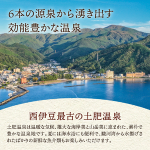 静岡 伊豆 土肥 温泉 旅館 協同組合 9,000円分 商品券  宿泊券 宿泊 （温泉  温泉宿 宿泊券 旅行 お食事券 静岡県  伊豆市 ）B-055