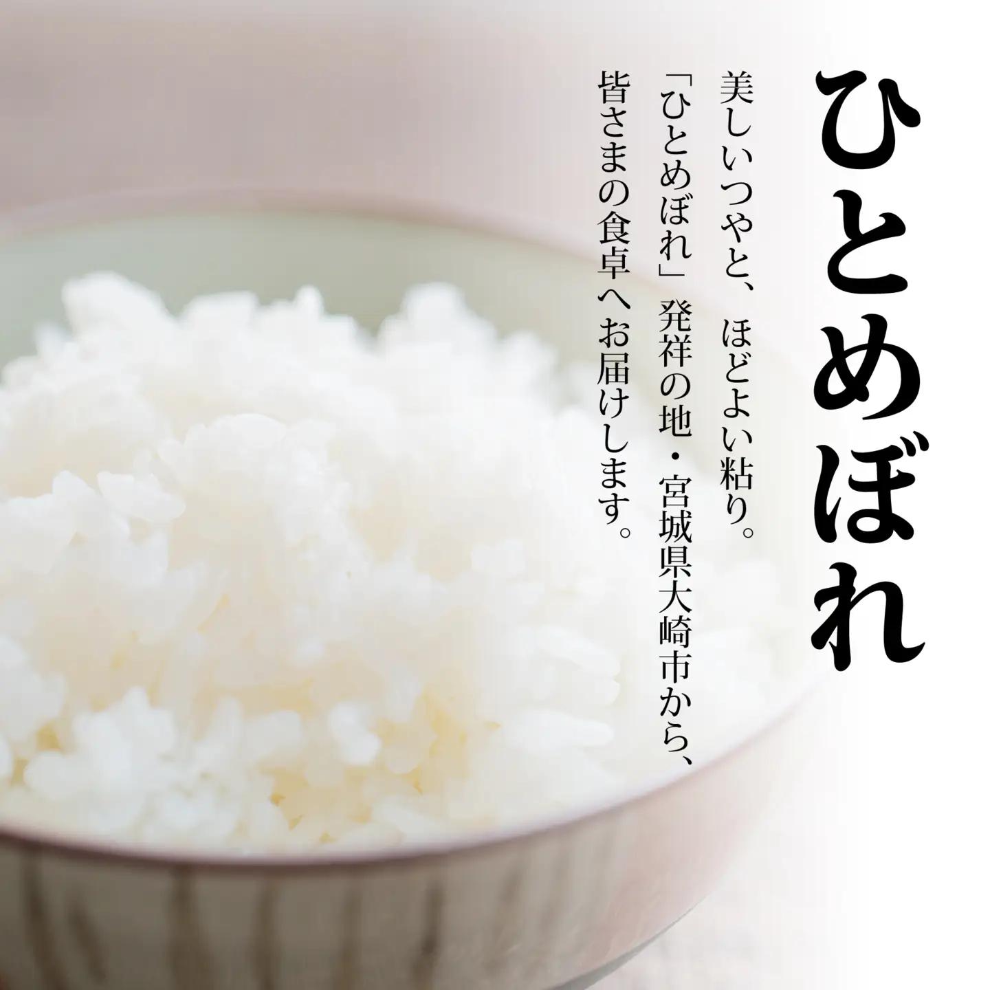 【定期5回】《精米》令和8年宮城県大崎市産 ひとめぼれ  10kg(5kg×2)*5回 | tm-htm-10kg-r8-t5