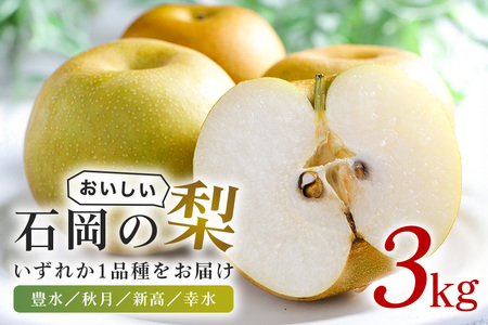 石岡のおいしい梨3kg  A39-001