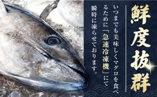 【全6回定期便】対馬産 本マグロ 4種 計550g（赤身/中トロ/大トロ/ネギトロ）《対馬市》【対海】[WAH016] マグロ まぐろ 鮪 本鮪 本マグロ 養殖 トロ 中トロ 中とろ 大トロ 大とろ 