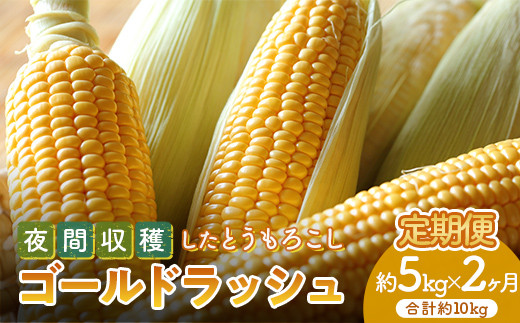 ＜2027年先行予約＞【定期便】夜間収穫したとうもろこし ゴールドラッシュ (各約5kg)《2ヶ月連続》 2L トウモロコシ とうもろこし コーン ゴールドラッシュ 定期便 野菜 食品 F21E-068