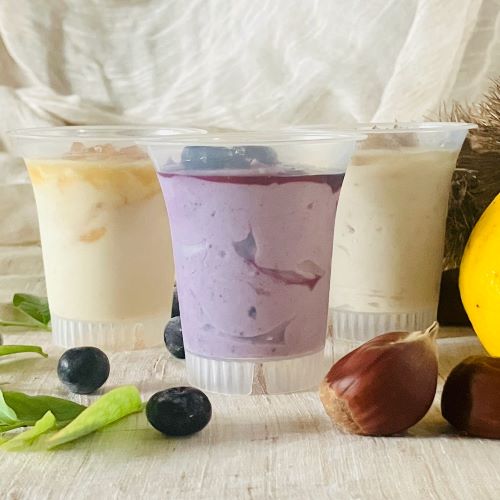 生チーズムース（綾フルーツミックス）白砂糖不使用♪_0021-089