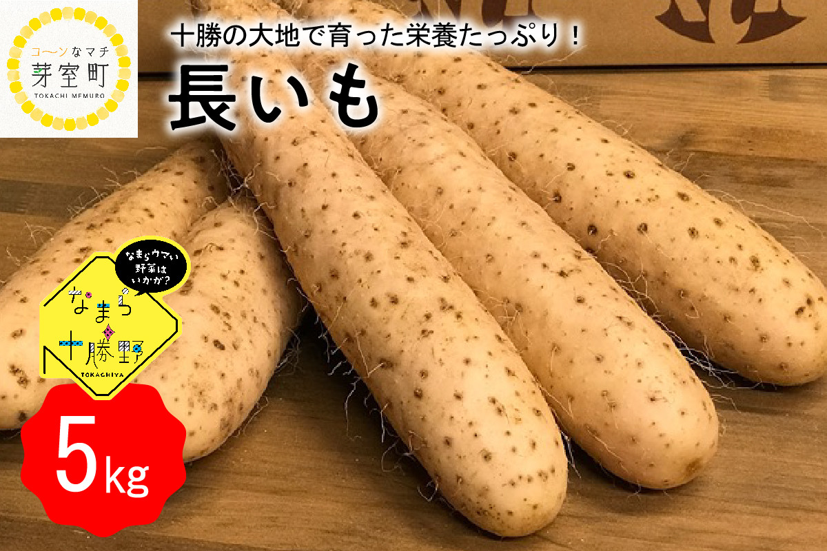 
            【12月中旬以降発送】北海道十勝芽室町 なまら十勝野の長いも ５kg me001-010c
          