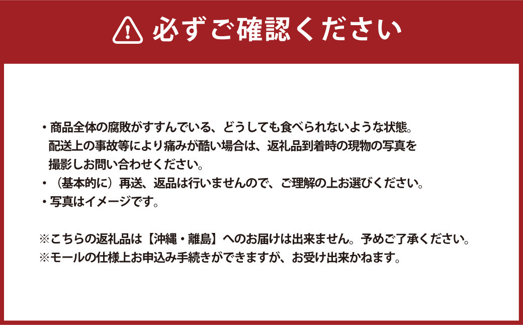 ご家庭用 岡山白桃 4～5玉  計1.2kg