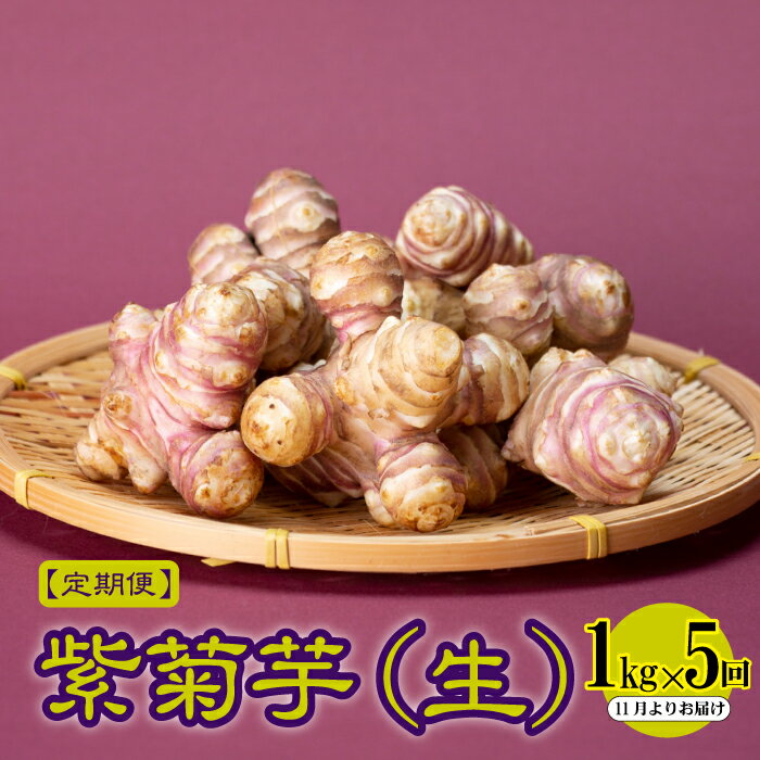 【ふるさと納税】【定期便】紫菊芋（生）1kg×5回　2026年11月よりお届け