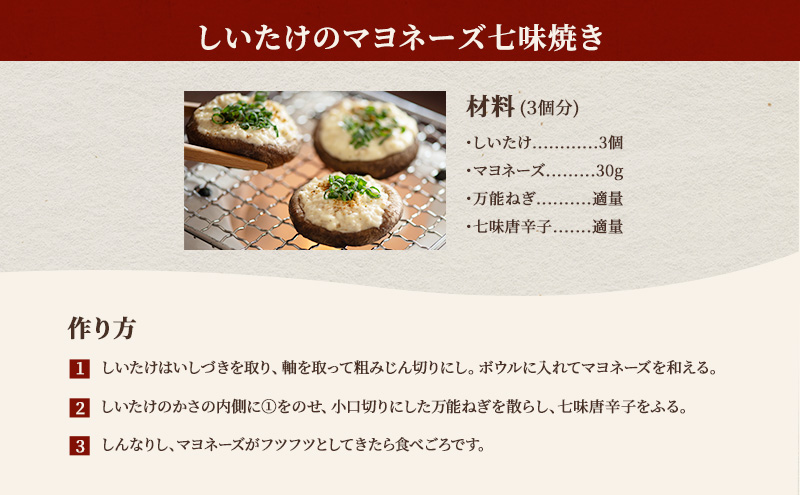 【遠州どまんなかしいたけ】 生しいたけ・乾燥しいたけセット (生しいたけ 約400g , 乾燥しいたけ　丸小 30g1袋 , スライス 小35g2袋)　干し椎茸 産地直送 国産 料理 素材 出汁 日本