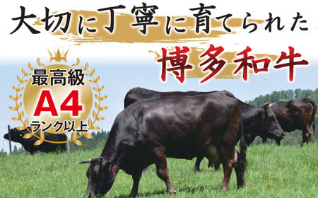 【全3回定期便】博多和牛 牛肉 サーロイン ステーキ 1kg（250g×4枚）＜株式会社MEAT PLUS＞那珂川市 牛肉 サーロインステーキ サーロイン ステーキ 牛肉 牛肉定期便 和牛定期便 定期