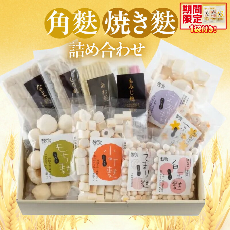 【ふるさと納税】角麩・焼き麩 詰合せ【セット】なま麩 もち麩 あわ麩 もみじ麩 栄養麩 小町麩 もち麩 白玉麩 京はな麩 てまり麩 愛知県産小麦100%使用 ソウルフード 和食 生麩 乾物 詰合せ 食べ比べ 便利 小分け 贈り物 食品 アレンジ お取り寄せ 送料無料