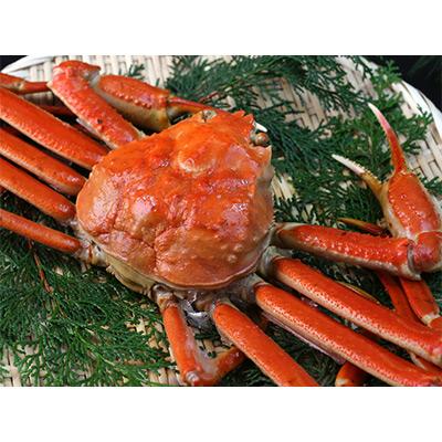 ふるさと納税 養父市 【発送月固定定期便】カニの定期便(竹)＜冷凍発送＞全3回 |  | 01