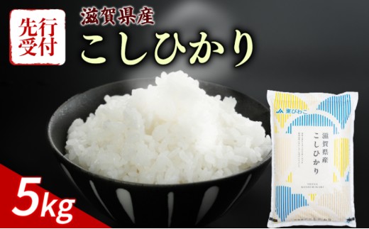 【令和8年産】 先行予約 新米 こしひかり 5kg 令和8年産 米 精米 こめ コメ お米 ご飯 米 コシヒカリ 5キロ 令和8年 令和8年度産 令和八年 令和八年産 滋賀 彦根 【近江米】