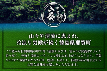 那賀わさび (真妻) 約200g 2～4本【徳島県 那賀町 生産者直送 産地直送 本わさび わさび ワサビ 生わさび 山葵 野菜 香味野菜 国産 真妻 薬味 調味料 万能 新鮮】FN-07