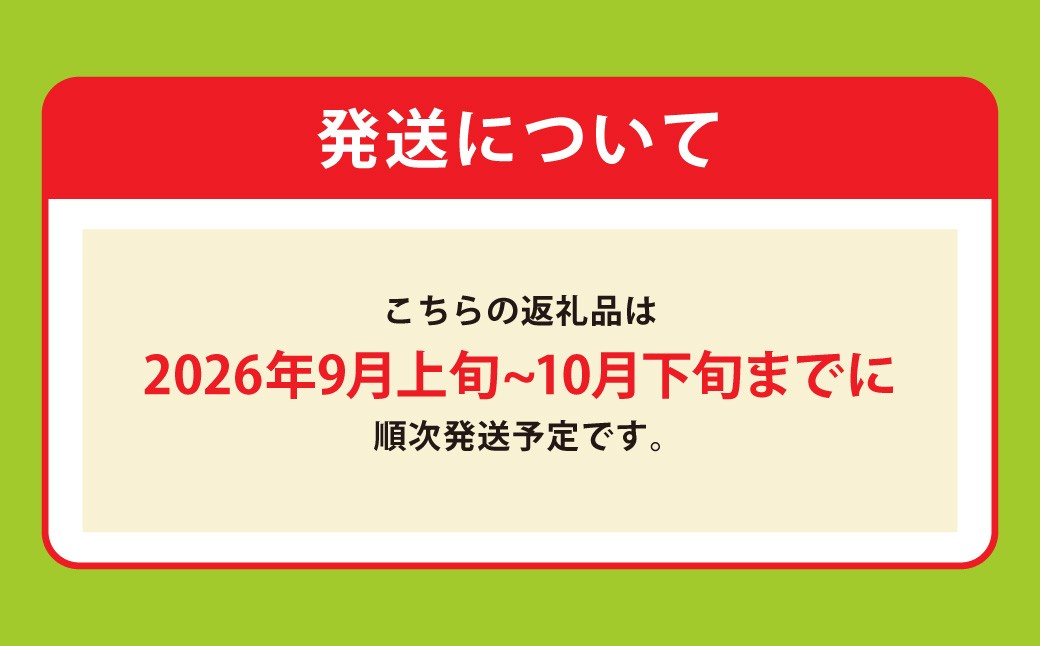 熊本名産 ジャンボ新高梨