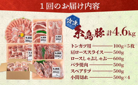 【全12回定期便】合計4.6kg！糸島豚食べ尽くしセット(とんかつ、肩ロース、しゃぶしゃぶ、豚バラ、スペアリブ、小間切れ) 糸島市 / トラヤミートセンター 豚肉 セット[AJD024]