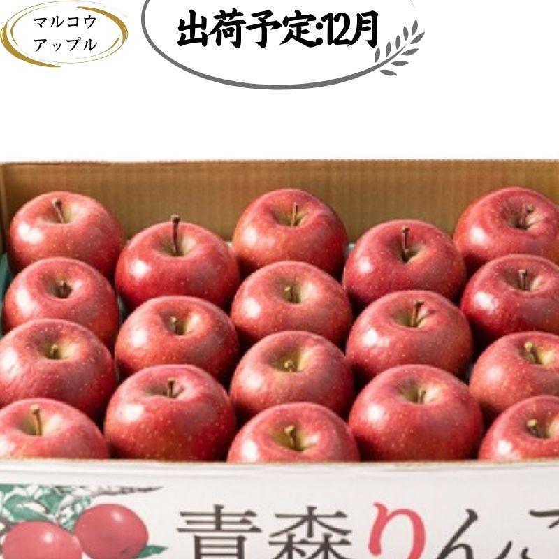 【ふるさと納税】【12月発送】 家庭用濃厚サンふじ約5kg　糖度13度以上【訳あり】青森津軽りんご 　お届け：2025年12月1日～2025年12月30日