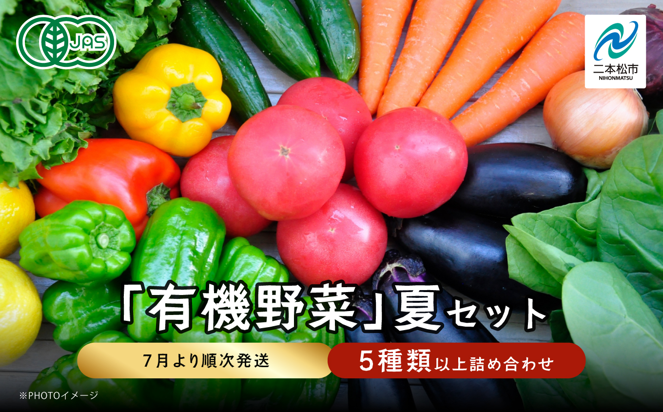 《2025年7月より順次発送》季節の有機野菜「夏セット」【一般社団法人二本松有機農業研究会】