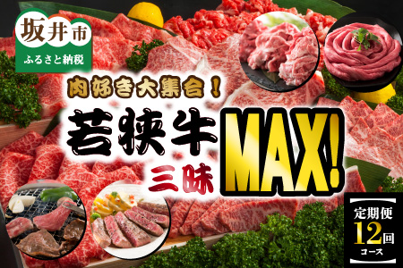定期便 12回 若狭牛三昧MAX 牛肉 ステーキ 切り落とし 国産 [N-3202]