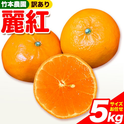 【ふるさと納税】 訳あり 麗紅 （れいこう） 5kg サイズ おまかせ《2026年2月中旬-5月上旬頃出荷》竹本農園 和歌山県 日高川町 旬 新鮮 果物 柑橘 フルーツ 国産 送料無料 5000g みかん ワケアリ 訳あり わけあり