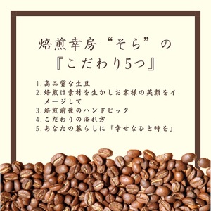 【コーヒー豆定期便12か月】『焙煎幸房“そら”』世界を旅するコーヒー 浅煎り～深煎りおまかせ 200g×1種類