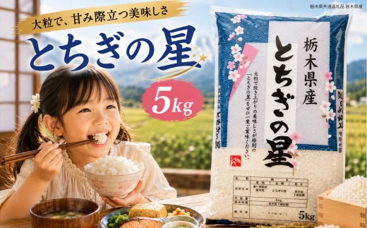 新米 令和8年度 栃木県産 とちぎの星 白米 5kg | ふるさと 納税 お弁当 お米 精米 美味しい 白米 つやつや とちぎ 大粒 共通返礼品 送料無料 那珂川町 栃木県【栃木県共通返礼品】