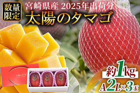 ★2025年出荷★数量限定＜宮崎県産 完熟マンゴー 太陽のタマゴ A2L×3玉（合計約1kg）＞2025年4月下旬～6月下旬に順次出荷【 果物 青果 マンゴー フルーツ マンゴー 太陽のタマゴ マンゴー 完熟マンゴー マンゴー 数量限定 マンゴー 期間限定 マンゴー -】