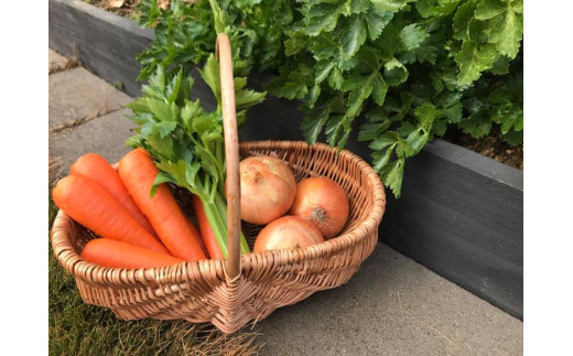 CRAFT 14 SAUCEセット（オリジナル２本、ガーリック１本、ホット１本）