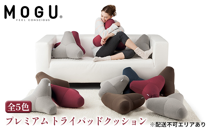 【MOGU-モグ‐】プレミアム　トライパッドクッション ネイビー〔 クッション ビーズクッション リビングクッション まくら 枕 〕