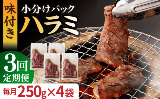 【全3回定期便】ハラミ【塩だれ】九州産和牛ハラミ 1kg（ 250g×4袋） 長与町/岩永ホルモン [EAX093] 国産 牛肉 ハラミ 牛ハラミ はらみ 小分け 味付き サガリ 焼肉 焼き肉 塩 しお 冷凍 焼肉 焼き肉 やきにく 九州 定期便 ていきびん 定期