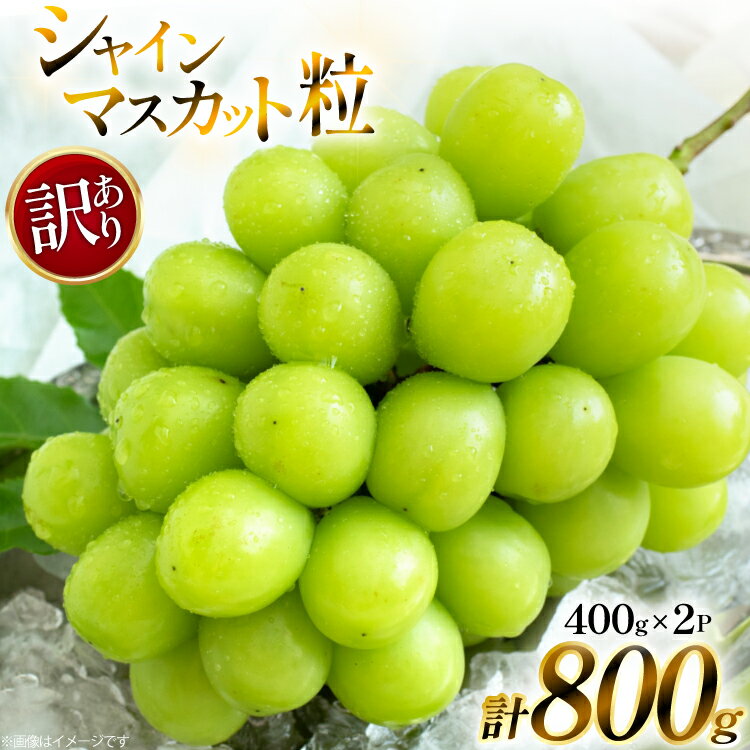 【ふるさと納税】【期間限定発送】 シャインマスカット 訳あり 粒 詰め合わせ 400g 2p 800g [tk06ays990007 山形県 高畠町 安達長作] 小分け フルーツ 果物 くだもの ぶどう ブドウ 葡萄 甘い