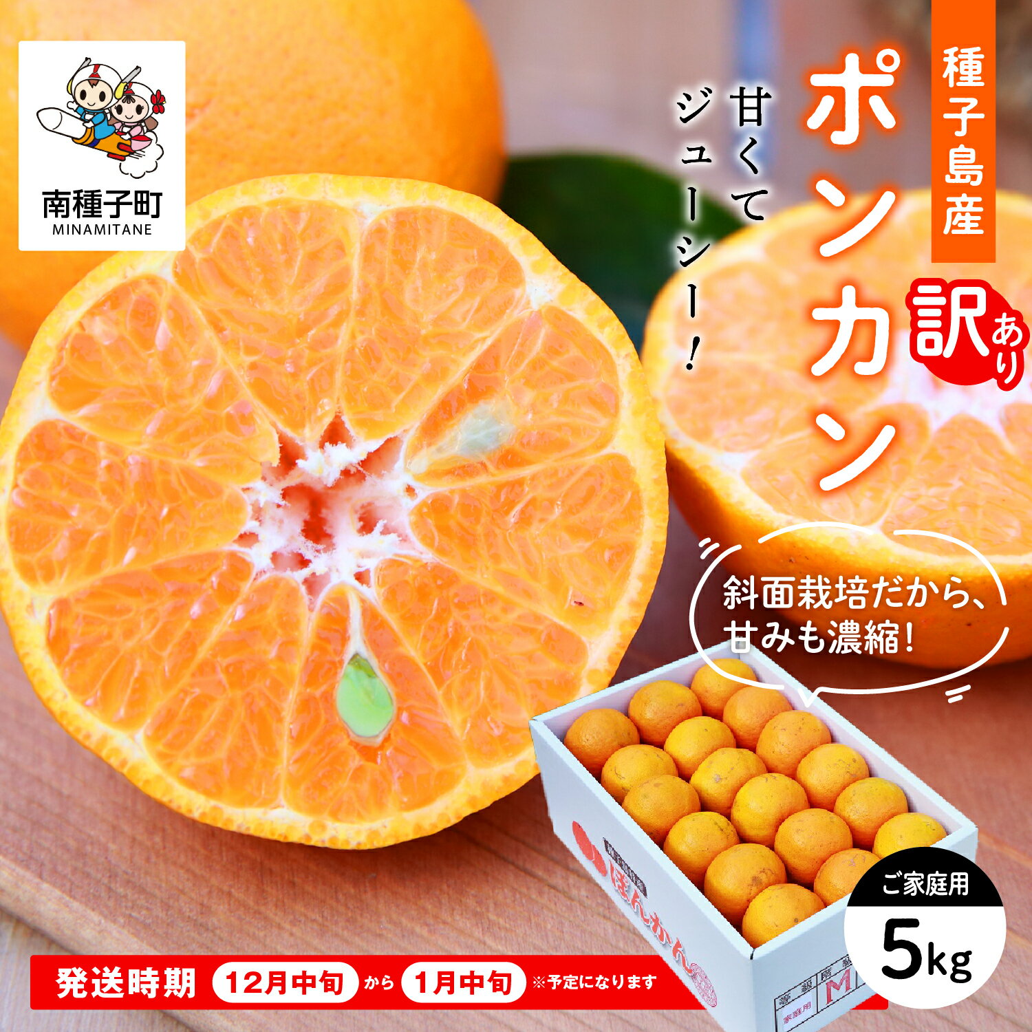 【ふるさと納税】《先行予約》訳あり 種子島産 ポンカン 約 5kg ( 24玉〜36玉) 家庭用 ぽんかん オレンジ みかん 柑橘 果物 フルーツ グルメ お取り寄せ お正月 人気 ギフト 返礼品 南種子町 鹿児島 かごしま 《 2026年12月中旬頃〜1月中旬頃順次発送》【南種子町果樹部会】