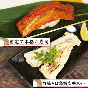 三陸産 天然 《極》 あなご蒲焼き 1枚・白焼き 1枚 冷凍 穴子 アナゴ 穴子 白焼 穴子 蒲焼 穴子 丼 寿司 穴子  