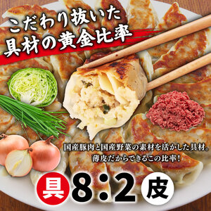 肉餃子 手包み ジャンボ 餃子 3種セット 肉餃子 スタミナ餃子 キャベツ餃子45個 冷凍 【 餃子 】