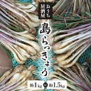 先行受付 島らっきょう 約1kg 沖永良部島産 4月初旬 7月下旬 数量限定 新鮮 和泊 国産 人気 旬 沖永良部島 野菜 赤土 栽培期間中 無農薬 漬物 らっきょう ラッキョウ 送料無料