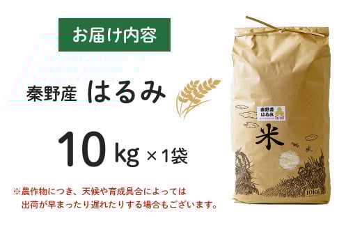 【令和7年新米】秦野のお米「はるみ」10kg（10月～順次発送）| 神奈川県産 秦野市 大地 10kg 10キロ 米 こめ コメ お米 白米 精米 お取り寄せ 贈答 人気 ランキング ごはん ご飯 贈