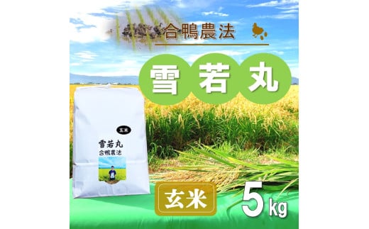 【令和7年産・玄米】ecofarmすがわらの合鴨農法雪若丸5kg※10月下旬頃から順次配送
