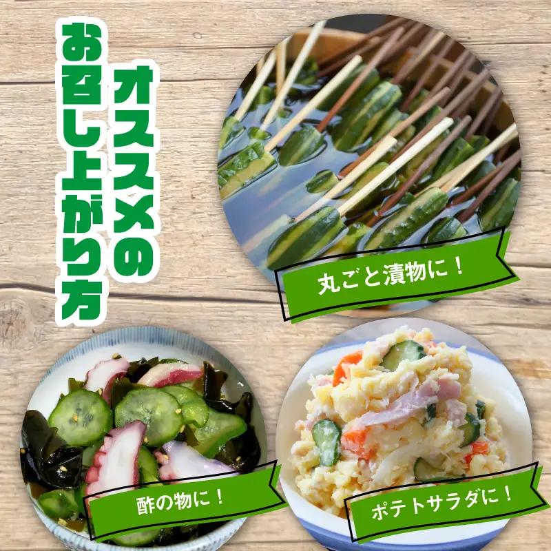 ミニ きゅうり 2kg | 先行予約 きゅうり キュウリ 胡瓜 ミニきゅうり 新鮮 朝収穫 朝採れ 産地直送 野菜 詰合せ 夏野菜 野菜 キュウリ やさい 採れたて 季節 食材 旬 栽培 農家直送 農