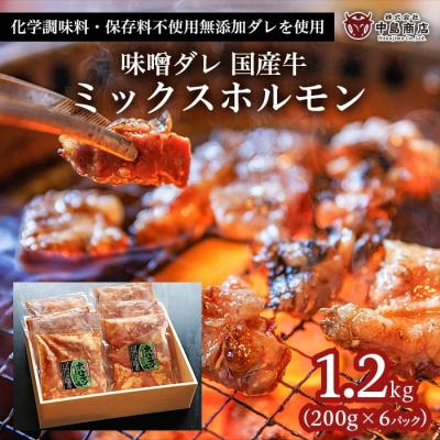 ふるさと納税 山形市 味噌ダレ 国産牛 ミックスホルモン 1.2kg(200g×6パック) FZ22-078