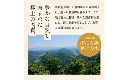猪 しゃぶしゃぶ セット 400ｇ (2～3人前) 兵庫県 丹波篠山市 猪肉 いのしし肉 ジビエ料理 お歳暮 御歳暮 お正月 お取り寄せ ハレの日 お鍋 団らん ギフト お祝い プレゼント 贈り物 お