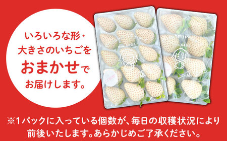 【R8年1月以降発送】【幻の白いちご】 こころの色 220g×2パック 【StrawberryFarm-K】 [IBJ010]