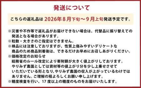 【先行予約】 やりみず農園 農家厳選！ シャインマスカット 2房から3房（約1kg） 【2026年8月下旬～9月上旬発送予定】 シャインマスカット ぶどう ブドウ 葡萄 くだもの 果物 フルーツ 果実