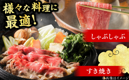 【華やかな肉のうまみ！】A4～A5等級 博多和牛 特選ロース 薄切り500g 広川町 / 久田精肉店株式会社[AFBV056]