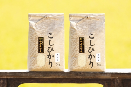 【頒布会】【令和7年産 新米予約】南魚沼産コシヒカリ（無洗米10kg×全6回）【令和7年11月上旬より順次発送予定】