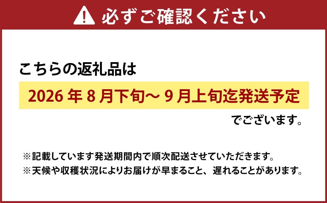 黄金桃 6玉（合計1.6kg以上） 化粧箱入り