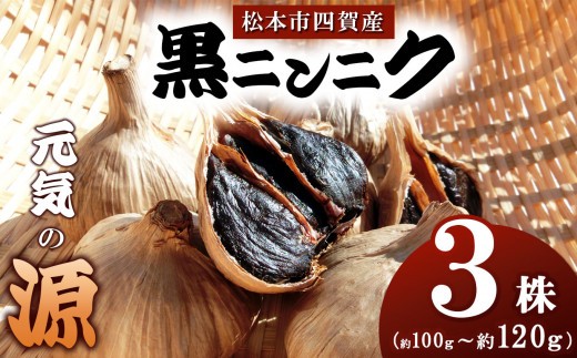 
                  松本市四賀産・黒ニンニク | ニンニク にんにく 健康 スタミナ 野菜 有機栽培 長野県 松本市
                