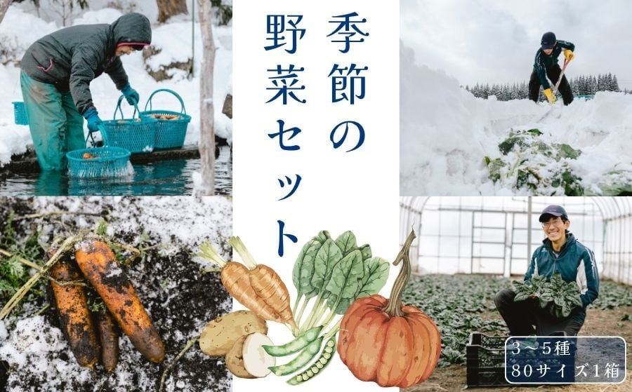 
            季節の野菜セット（3～5種）冬期・数量限定｜寒じめほうれん草、雪中にんじん 雪まち野菜  1月下旬から2月上旬発送予定　産地直送　道の駅しなの【長野県信濃町ふるさと納税】
          