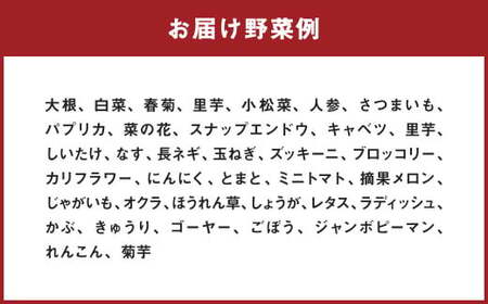 【定期便5回】 野菜 定期便 10品程度 熊本県 菊池市産  やさい 【メロンドーム】