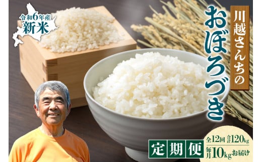 【定期便全12回】令和6年産 川越さんちの おぼろづき 10kg（5kg×2袋）毎月1回お届け 雨竜産 おぼろづき 精米 定期便 10kg お米 おにぎり お弁当 お取り寄せ 北海道 雨竜町