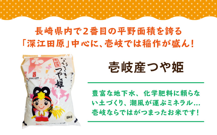 壱岐産米 つや姫 5kg 《壱岐市》【壱岐市農業協同組合】[JBO024] お米 新米 米 ごはん ご飯 9000 9000円